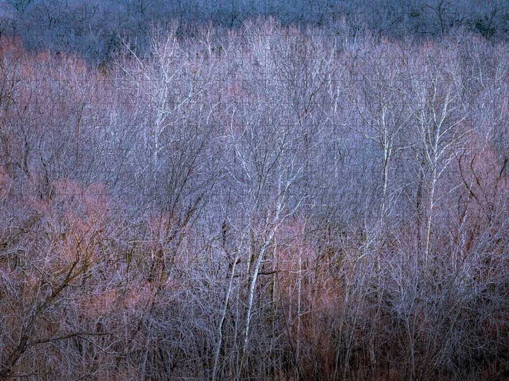 Trees Jigsaw Puzzle featuring the photograph Silent Trees by Allin Sorenson