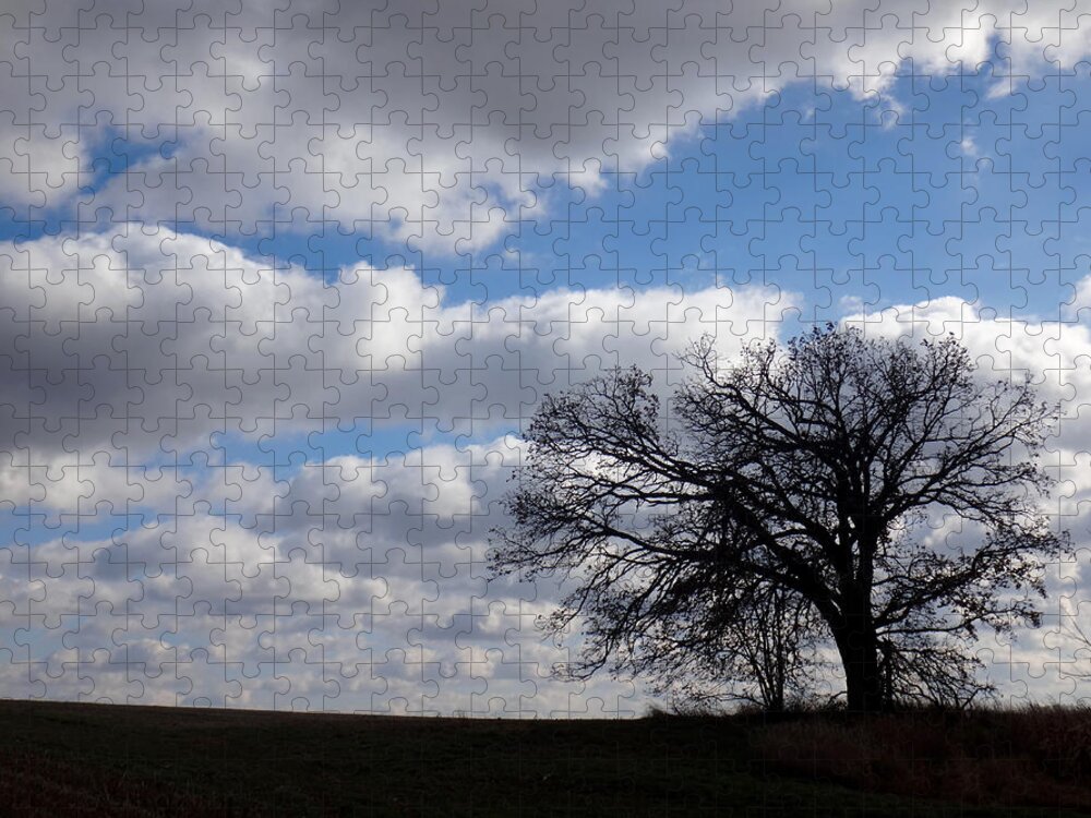 Sky Jigsaw Puzzle featuring the photograph Silhouette by Brooke Bowdren