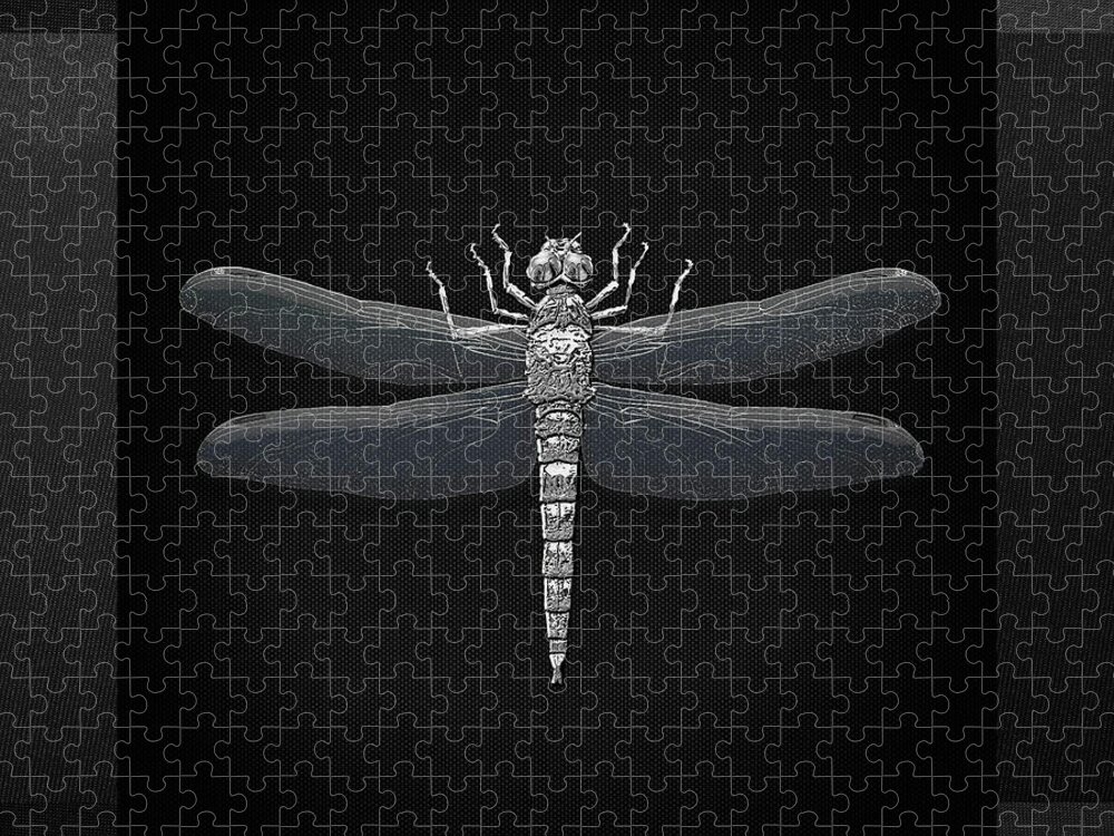 'beasts Creatures And Critters' Collection By Serge Averbukh Jigsaw Puzzle featuring the digital art Silver Dragonfly on Black Canvas by Serge Averbukh