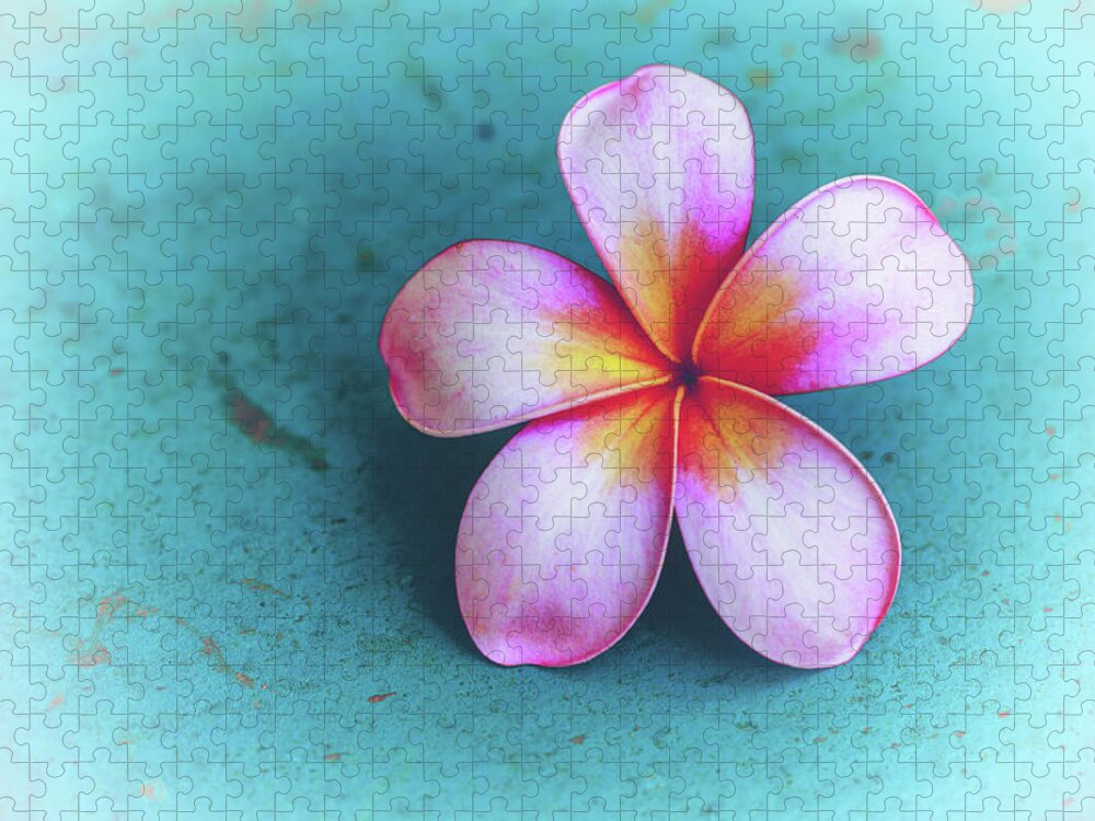 Plumerias Jigsaw Puzzle featuring the photograph Simplicity by Jade Moon