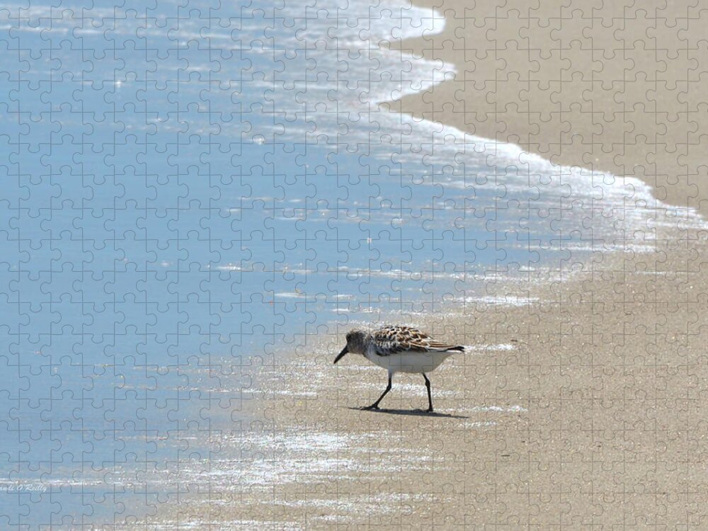 Beach Jigsaw Puzzle featuring the photograph Simplicity of A Beach's Beauty by Sandi OReilly