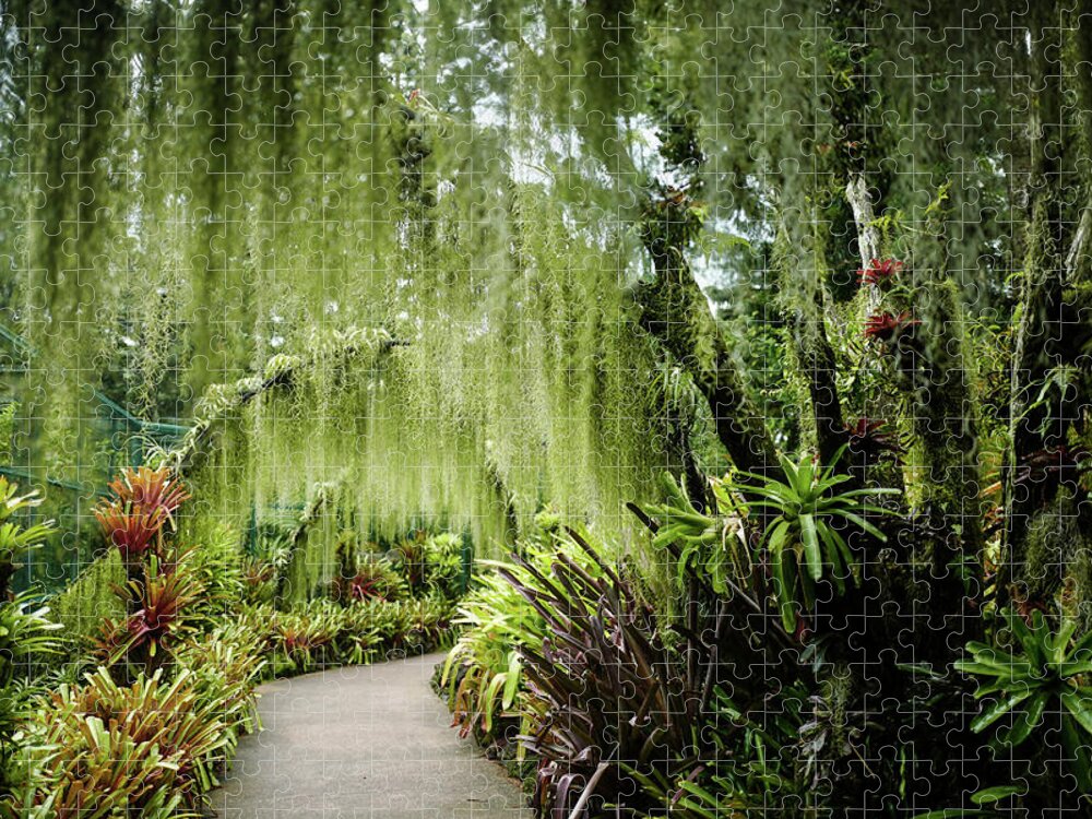 Singapore Botanic Gardens Jigsaw Puzzle featuring the photograph Singapore Orchid Garden by Jocelyn Kahawai