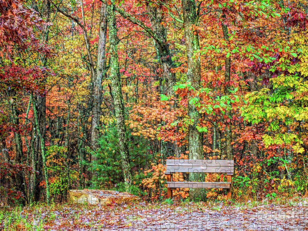 Bench Jigsaw Puzzle featuring the photograph Sit and Watch The Leaves Turn by Kerri Farley