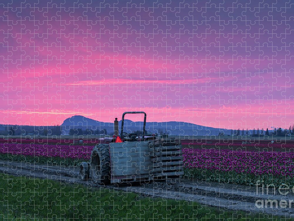 Tulip Jigsaw Puzzle featuring the photograph Skagit Valley Dusk Calm by Mike Reid