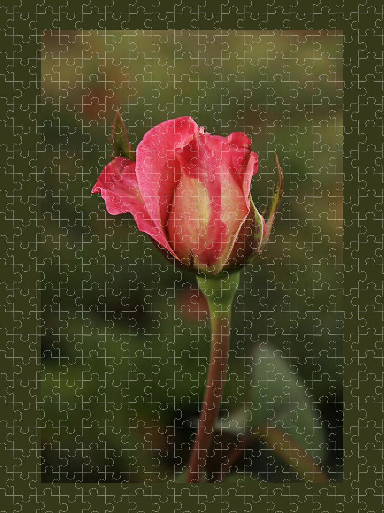 Elegant Jigsaw Puzzle featuring the photograph SKC 0423 An Elegant Blossom by Sunil Kapadia