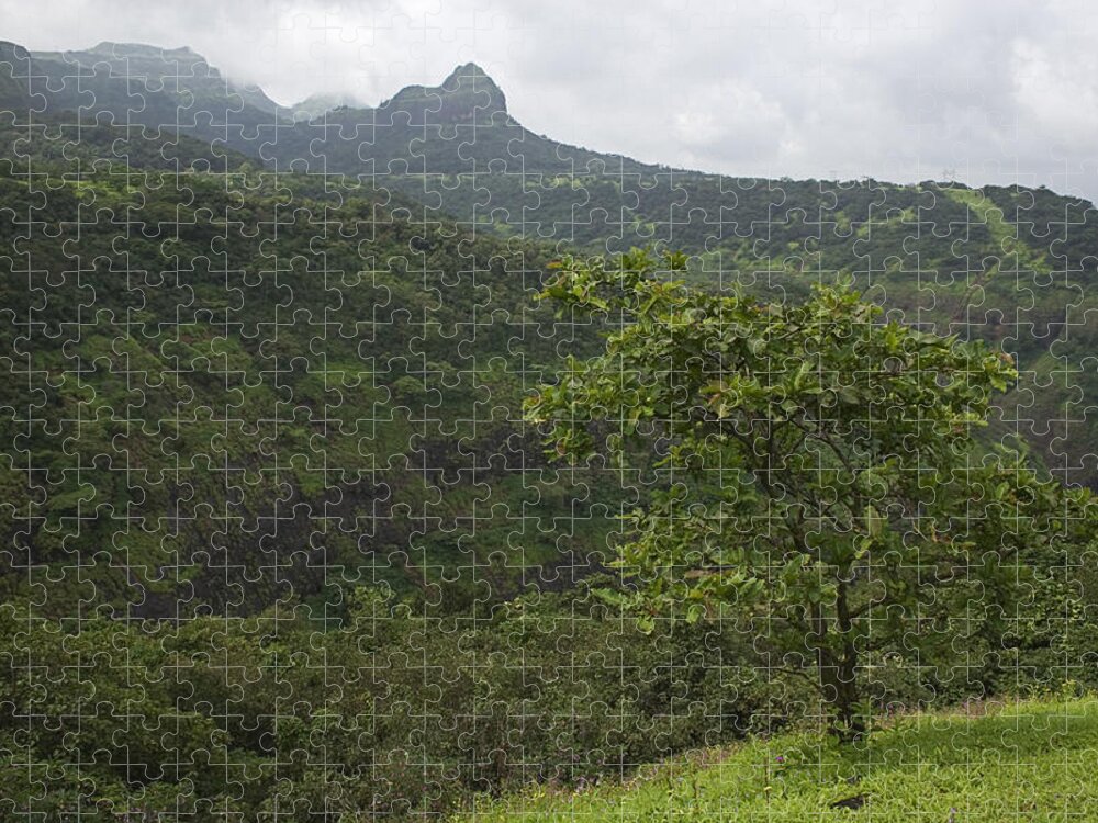 Emerald Jigsaw Puzzle featuring the photograph SKC 4007 The Emerald Landscape by Sunil Kapadia