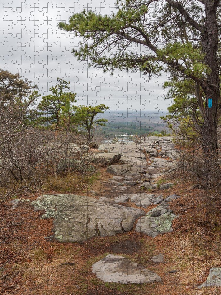 Landscape Jigsaw Puzzle featuring the photograph Skyline Trail Blue Hills Reservation by Brian MacLean