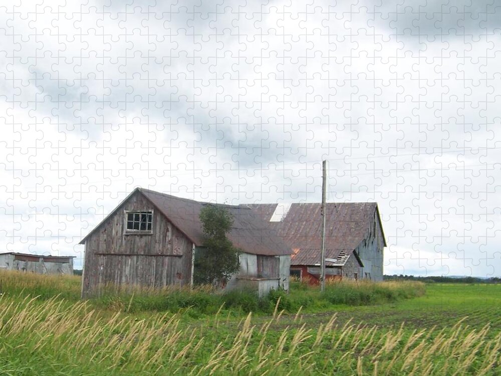 Barn Jigsaw Puzzle featuring the photograph Slipping Away by Jackie Mueller-Jones