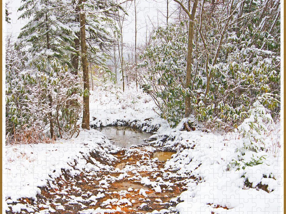 Stream Jigsaw Puzzle featuring the photograph Small Mountain Stream in Winter by A Macarthur Gurmankin