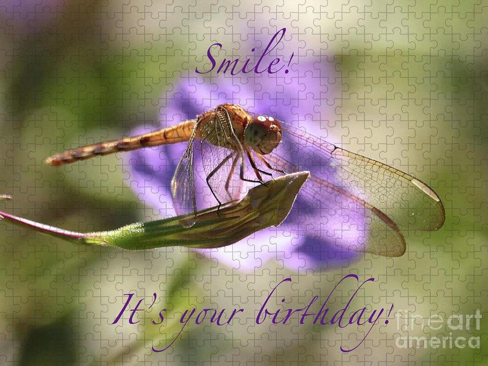 Dragonfly Jigsaw Puzzle featuring the photograph Smiling Dragonfly Birthday Card by Carol Groenen