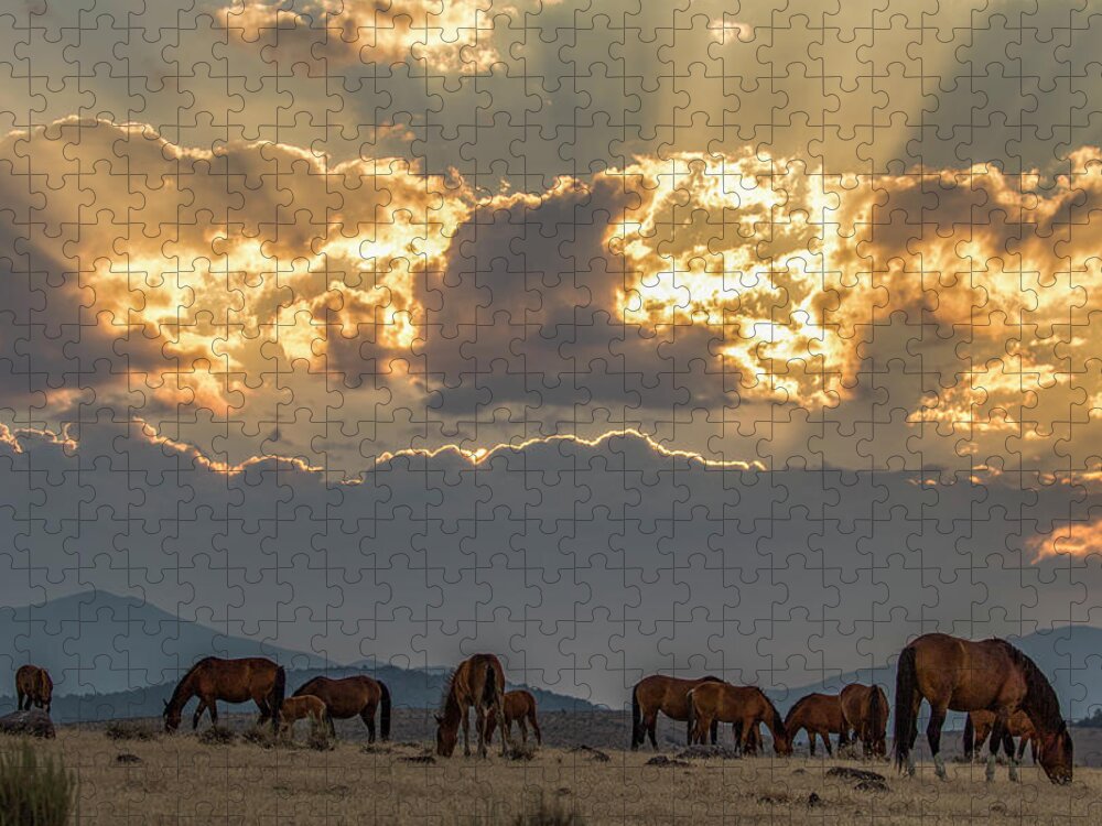 Horses Jigsaw Puzzle featuring the photograph Smokey sunrise by John T Humphrey