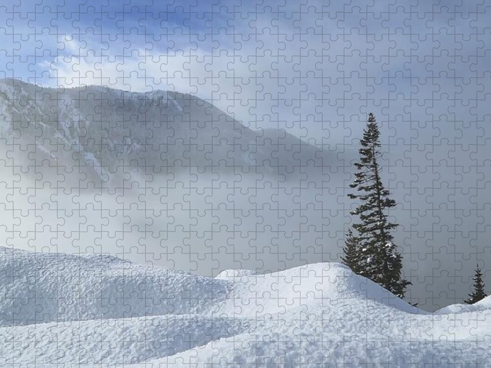 Snow And Silence Jigsaw Puzzle featuring the photograph Snow and silence by Lynn Hopwood