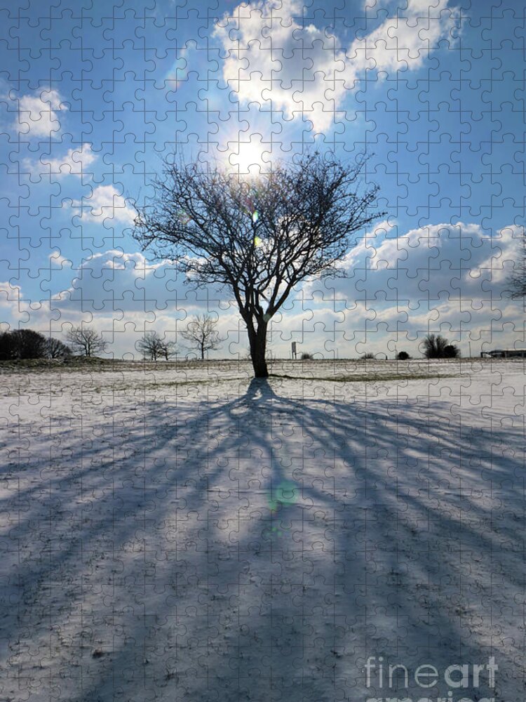 Snow And Sunshine On Epsom Downs Surrey Landscape Snowy Scene Tree Jigsaw Puzzle featuring the photograph Snow and Sunshine on Epsom Downs Surrey 4 by Julia Gavin