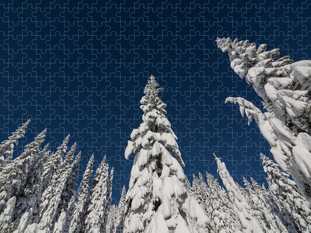 Tree Jigsaw Puzzle featuring the photograph Snow Covered Trees 2 by Pelo Blanco Photo