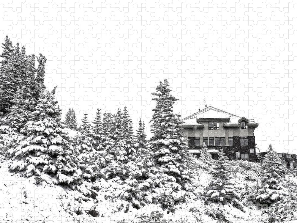 Snow Jigsaw Puzzle featuring the photograph Snow in July 2 by Teresa Zieba