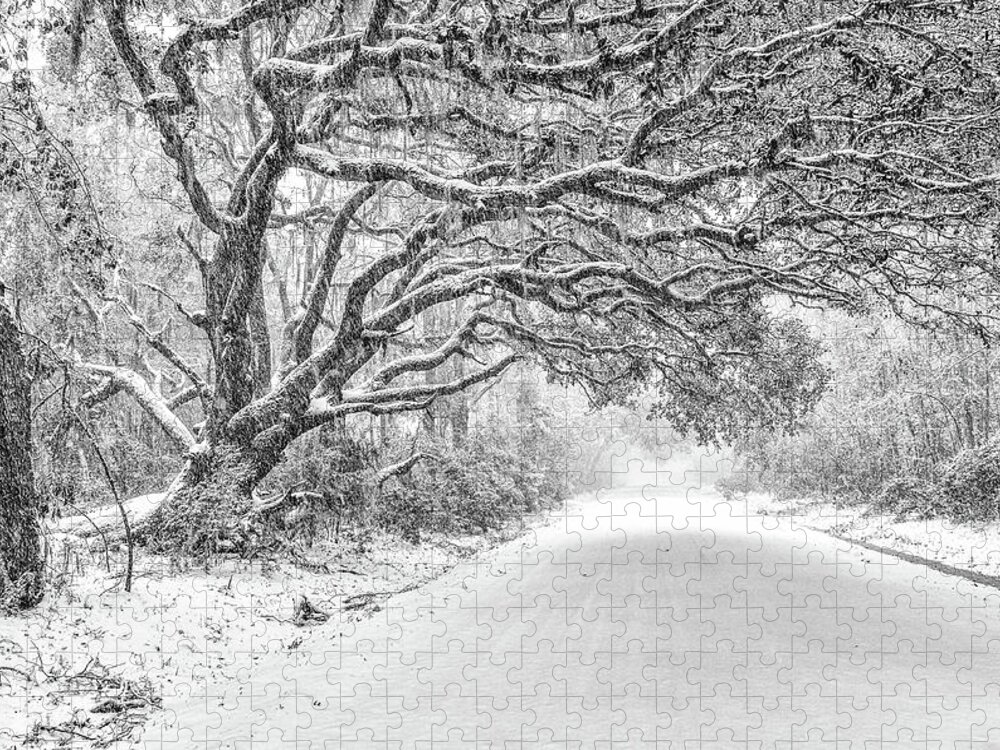 Snow Jigsaw Puzzle featuring the photograph Snow On Witsell Rd - Oak Tree by Scott Hansen