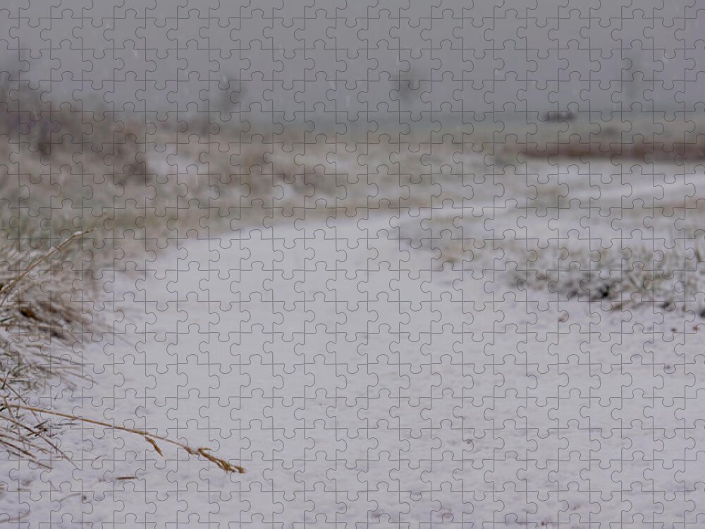 Snow Jigsaw Puzzle featuring the photograph Snow Path by Brooke Bowdren