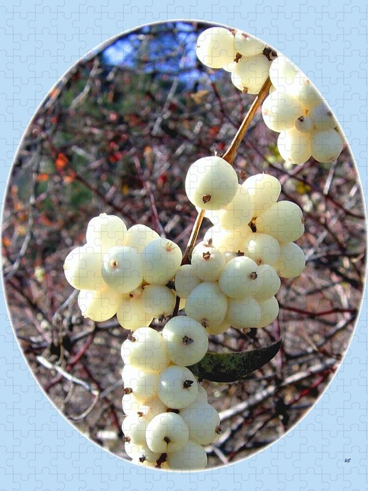 #snowberrycluster Jigsaw Puzzle featuring the photograph Snowberry Cluster by Will Borden
