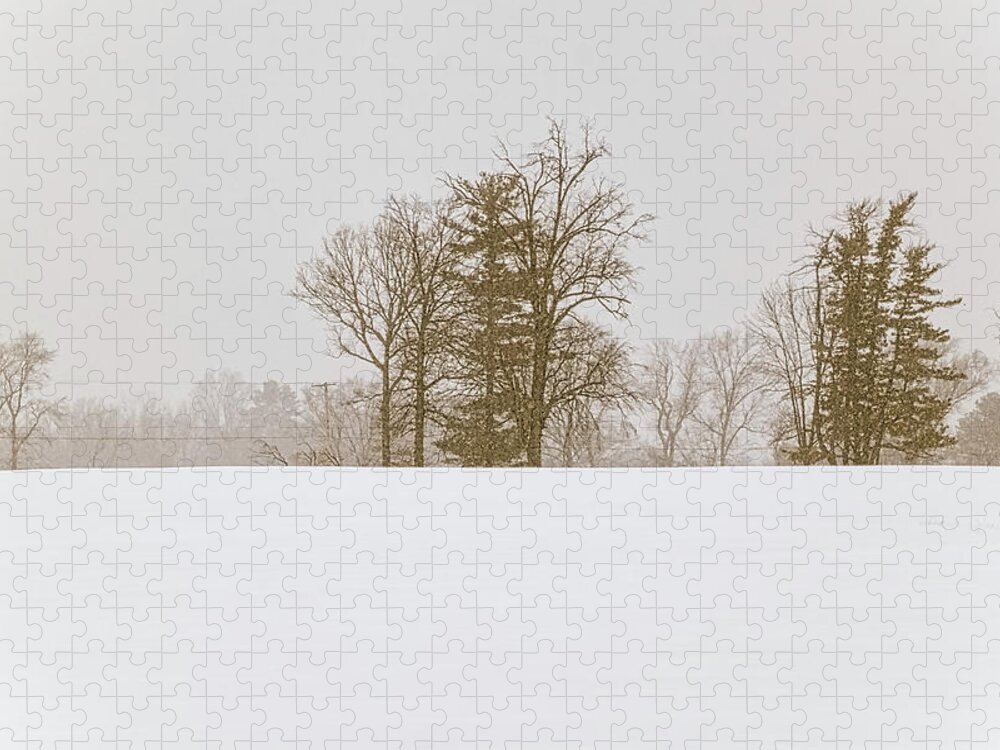 Snowfall Jigsaw Puzzle featuring the photograph Snowfall - by Julie Weber