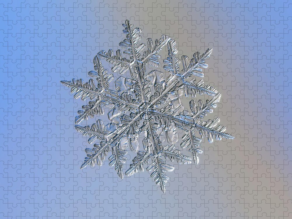 Snowflake Jigsaw Puzzle featuring the photograph Snowflake macro photo - 13 February 2017 - 3 by Alexey Kljatov
