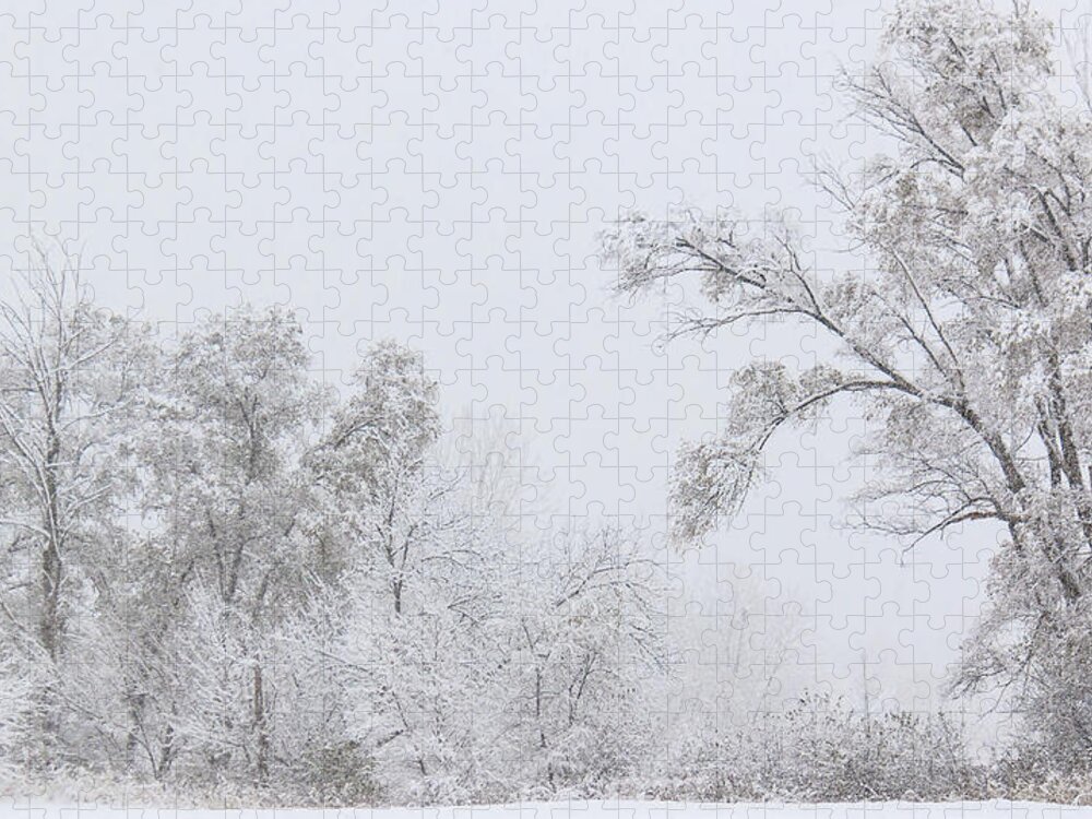 Hainesville Jigsaw Puzzle featuring the photograph Snowing in a Starbucks Parking Lot by Joni Eskridge