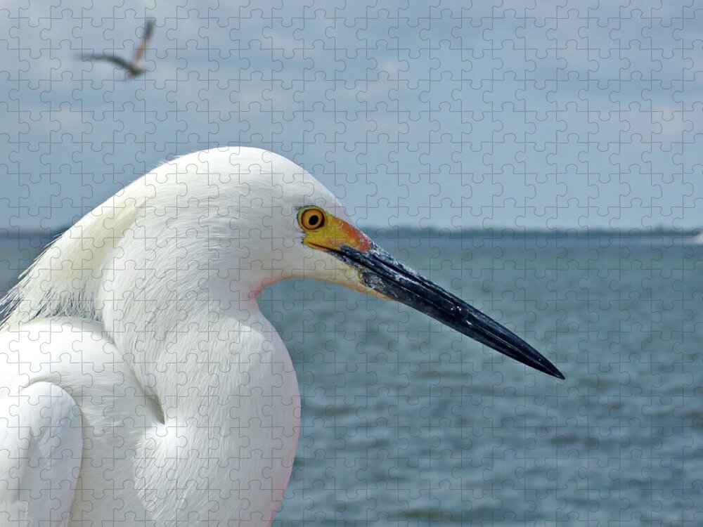 Snowy Egret Jigsaw Puzzle featuring the photograph Snowy Egret Portrait by Lyuba Filatova
