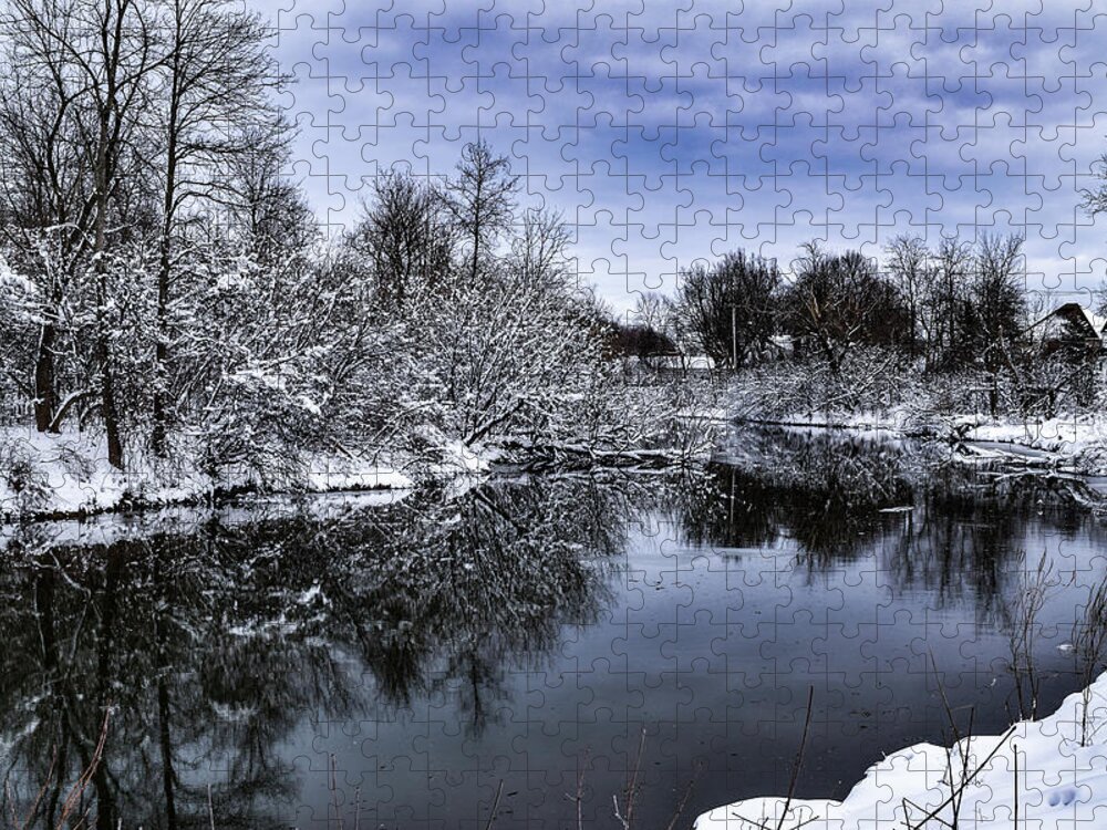 Snow Jigsaw Puzzle featuring the photograph Snowy Ellicott Creek by Nicole Lloyd