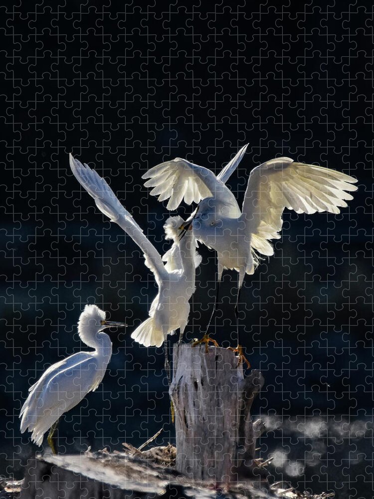 Snowy White Egret Jigsaw Puzzle featuring the photograph Snowy White Egrets 2 by Rick Mosher