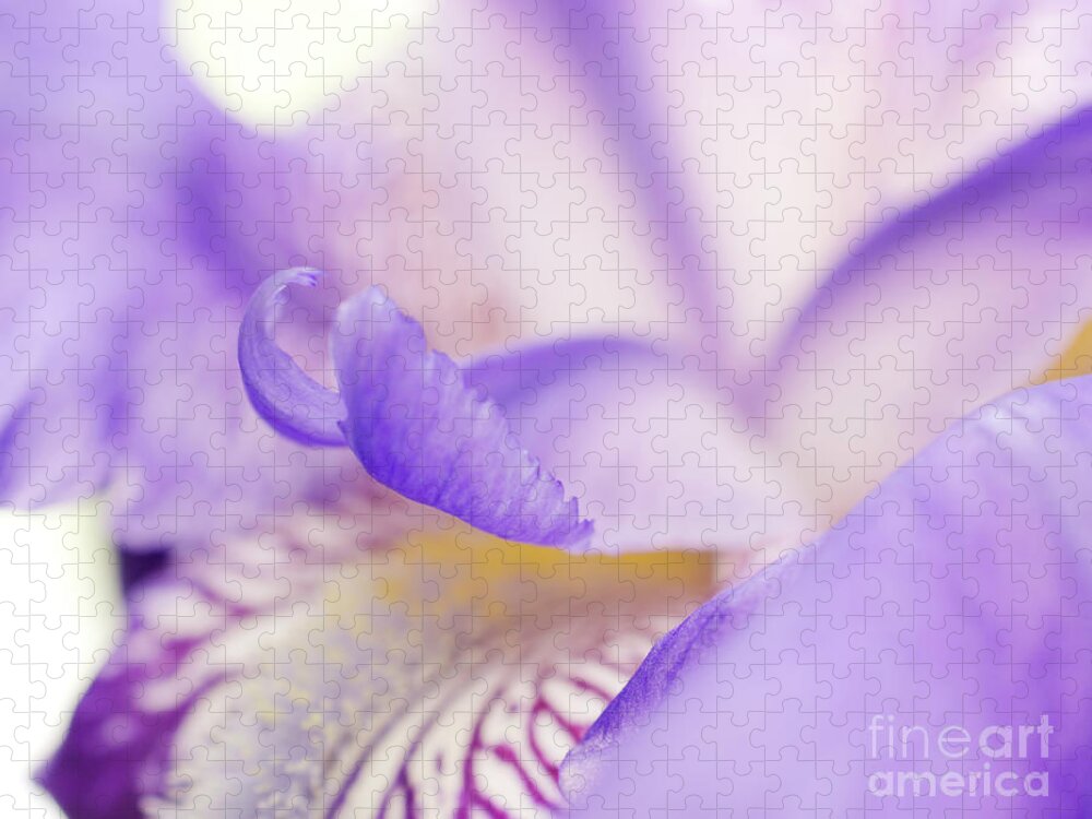 Flowers Jigsaw Puzzle featuring the photograph Soft Focus Iris Petals Botanical / Nature / Floral Photograph by PIPA Fine Art - Simply Solid