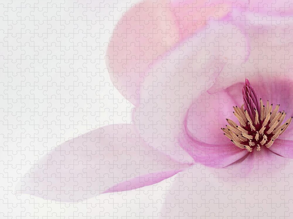 Japanese Magnolia Jigsaw Puzzle featuring the photograph Soft Nest by Mary Jo Allen