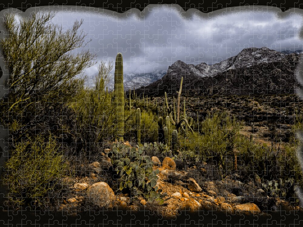 Acrylic Prints Jigsaw Puzzle featuring the photograph Sonoran Winter No.1 by Mark Myhaver