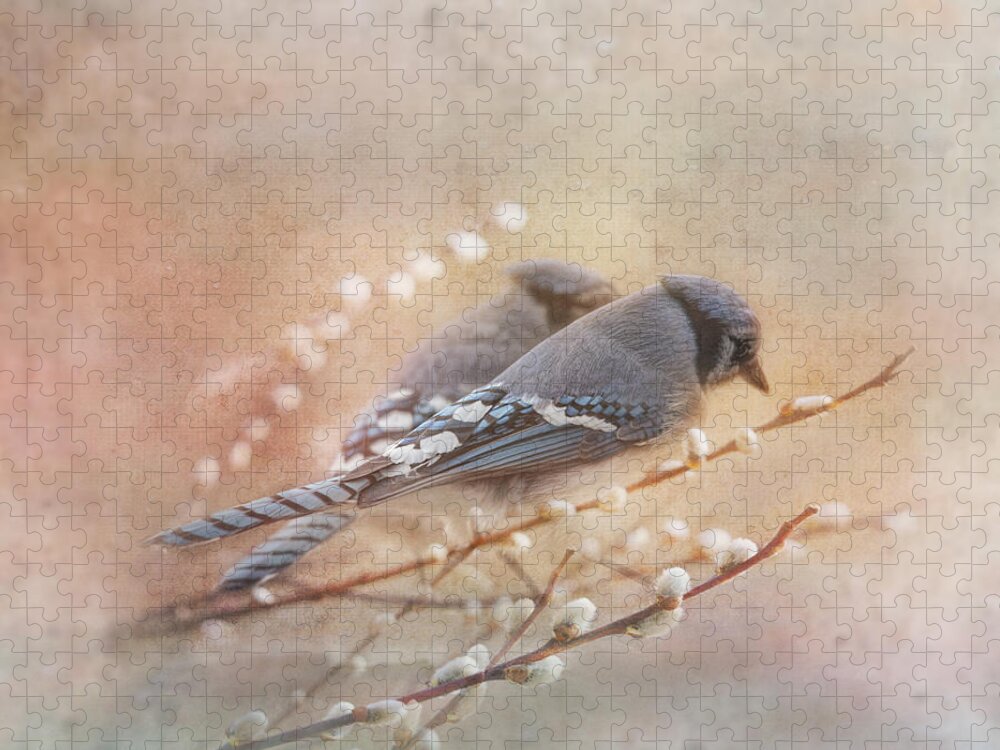 Blue Jay Jigsaw Puzzle featuring the photograph Soulmates by Sue Capuano