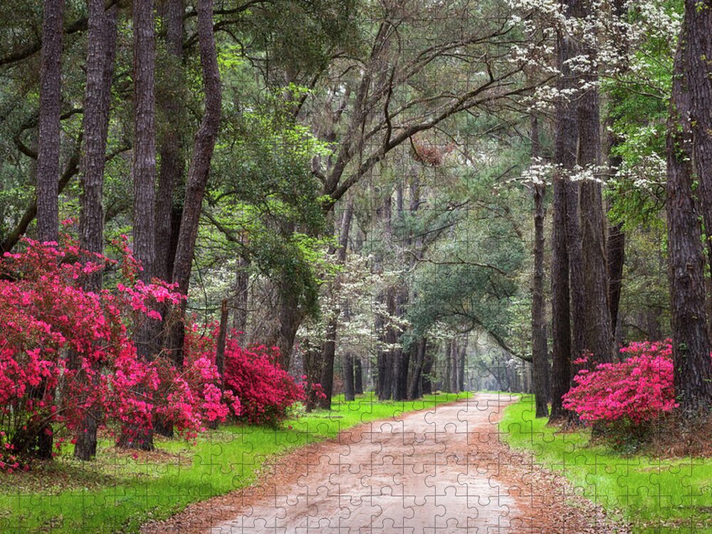 Charleston Jigsaw Puzzle featuring the photograph South Carolina Lowcountry Spring Flowers Dirt Road Edisto Island SC by Dave Allen