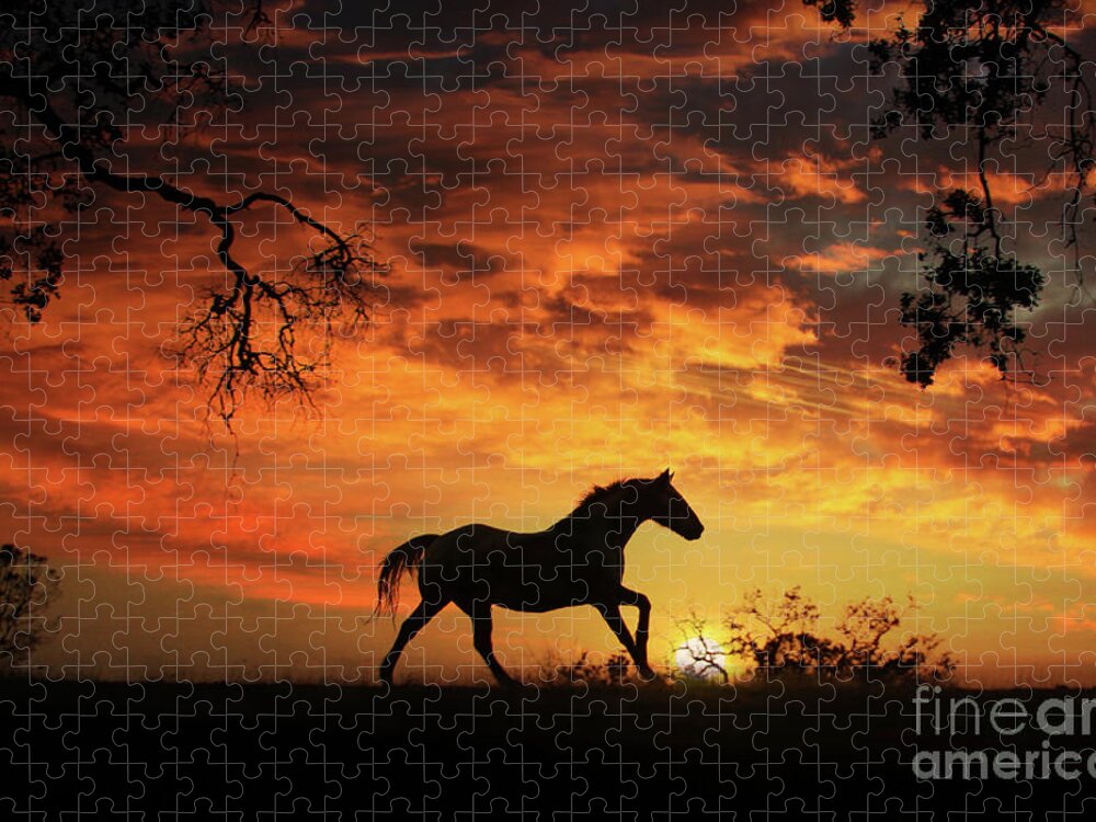 Horse Jigsaw Puzzle featuring the photograph Southwestern Sunset by Stephanie Laird
