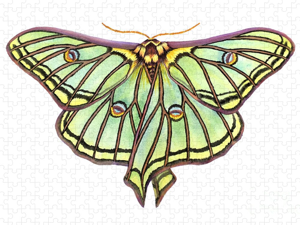 Spanish Moon Moth Jigsaw Puzzle featuring the painting Spanish Moon Moth by Lucy Arnold