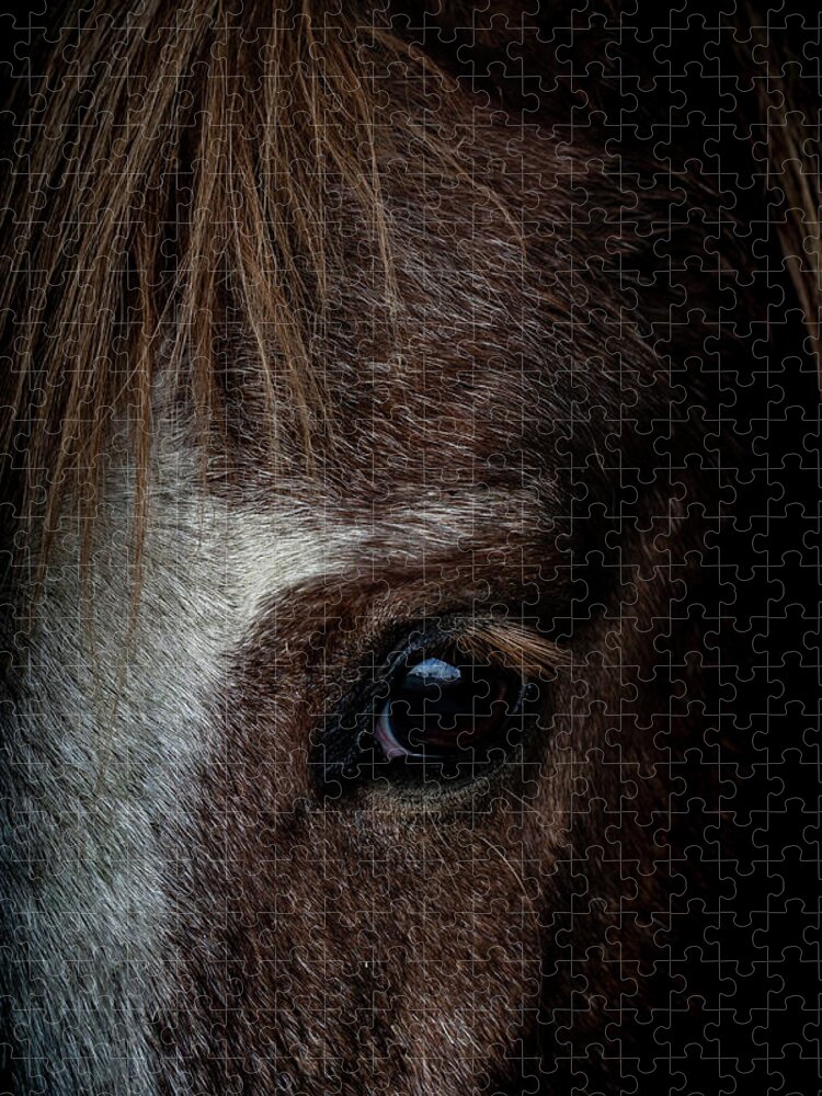 Pony Jigsaw Puzzle featuring the photograph Spirit by Paul Neville
