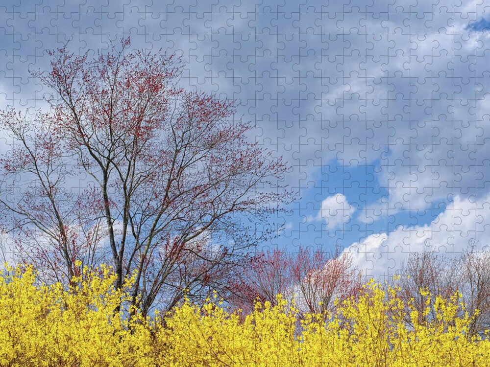 Spring Jigsaw Puzzle featuring the photograph Spring 2017 by Bill Wakeley