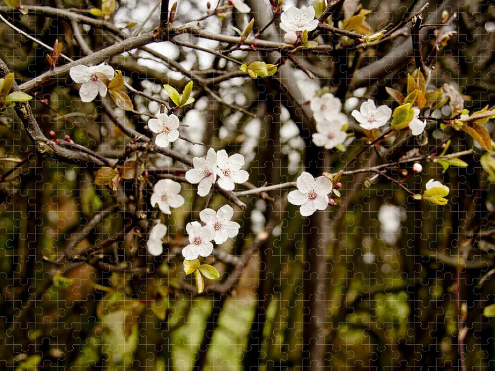 Bare Jigsaw Puzzle featuring the photograph Spring bloom. by Elena Perelman