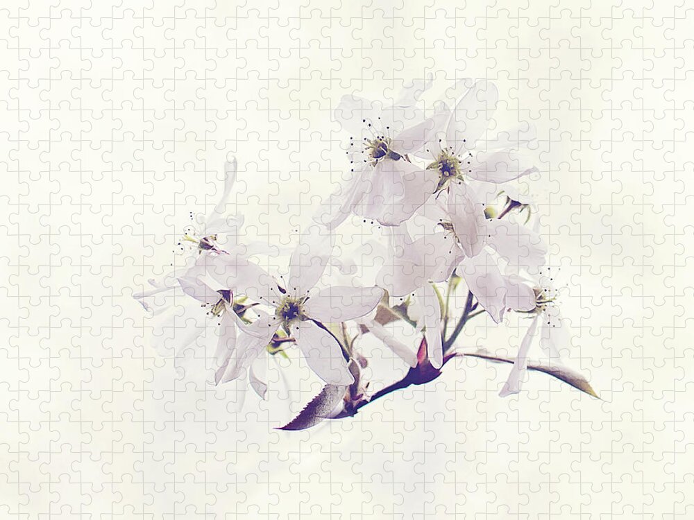 White Blossom Print Jigsaw Puzzle featuring the photograph Spring Blossom Print by Gwen Gibson