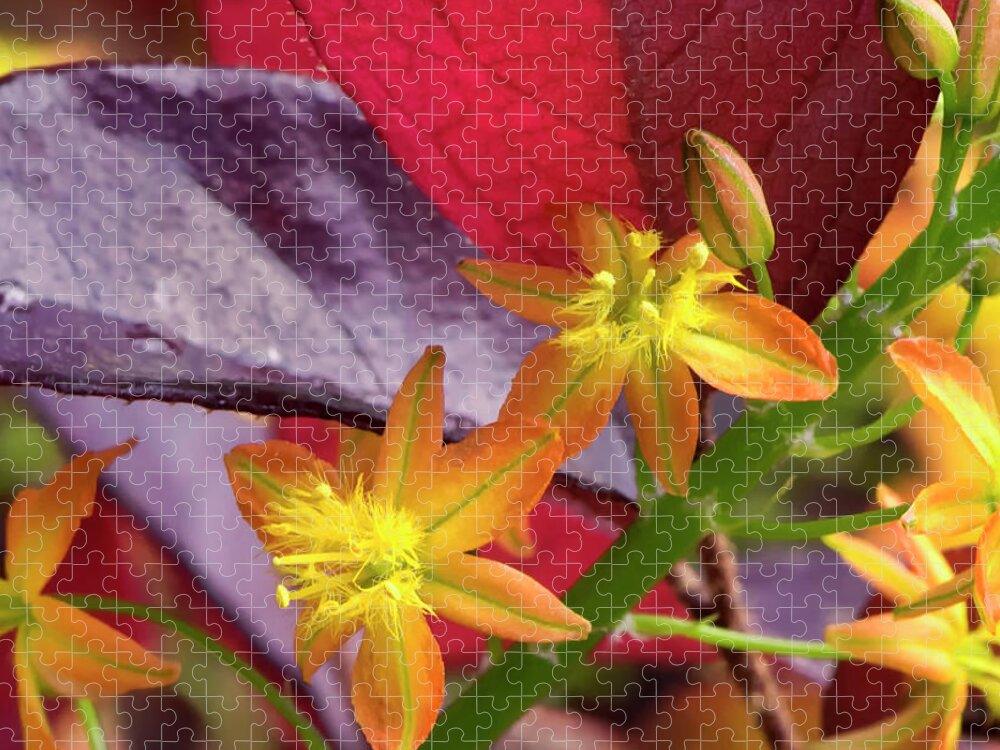 Flower Jigsaw Puzzle featuring the photograph Spring Blossoms 2 by Stephen Anderson