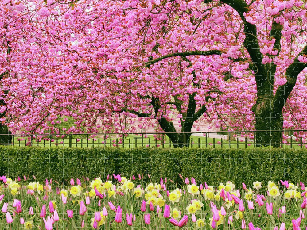 New York Botanical Garden Jigsaw Puzzle featuring the photograph Spring Extravaganza by Jessica Jenney