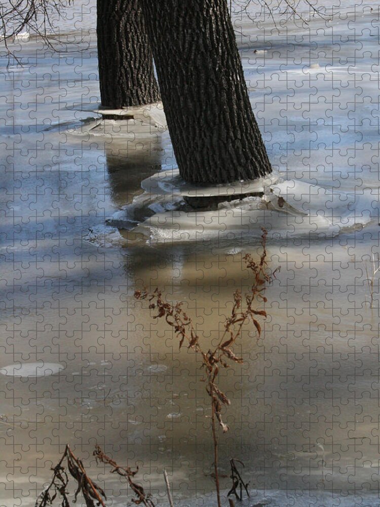 Spring Jigsaw Puzzle featuring the photograph Spring Flood by Mary Mikawoz