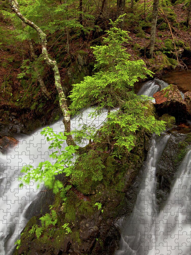 Waterfalls Jigsaw Puzzle featuring the photograph Spring Greens And Waterfalls #2 by Irwin Barrett