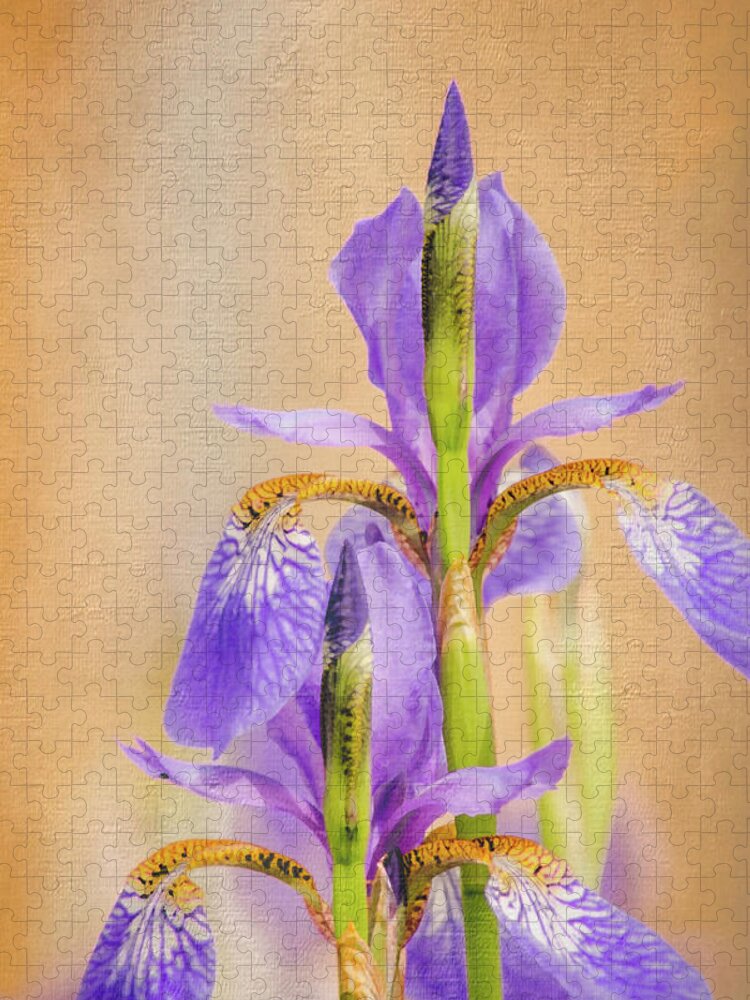 Spring Irises 2 Jigsaw Puzzle featuring the photograph Spring Irises 2 by Debra Martz