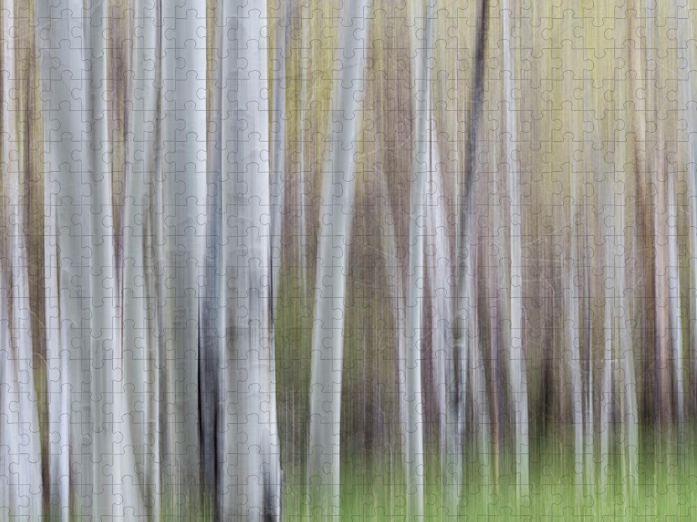 Intentional Camera Movement Jigsaw Puzzle featuring the photograph Spring Light With Aspens by Deborah Hughes
