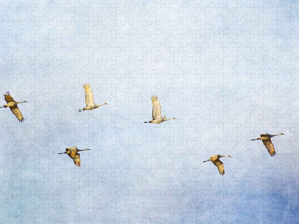 Sandhill Crane Jigsaw Puzzle featuring the photograph Spring Migration 3 - Textured by Kathy Adams Clark