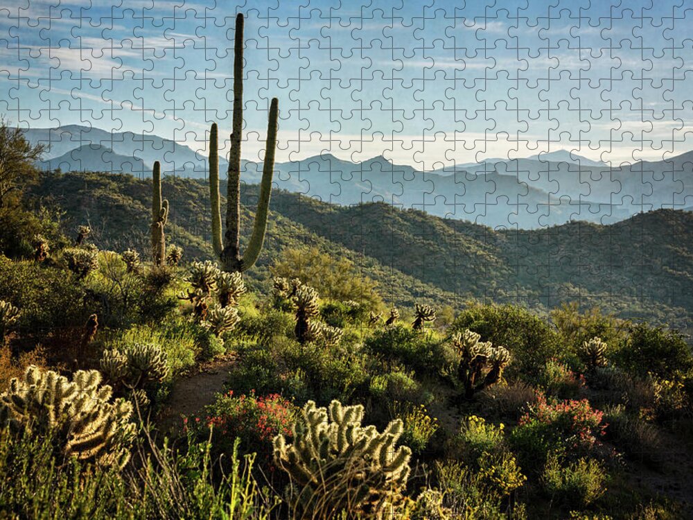 Arizona Jigsaw Puzzle featuring the photograph Spring Morning in the Sonoran by Saija Lehtonen