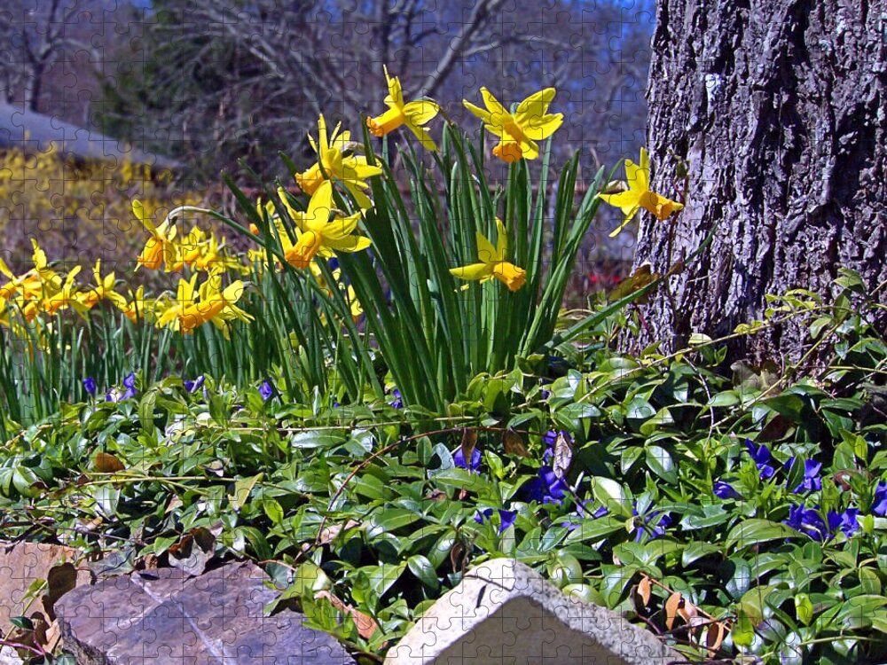 Spring Jigsaw Puzzle featuring the photograph Spring by Newwwman