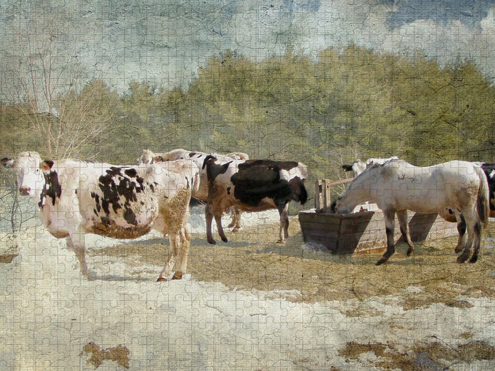 Farm Jigsaw Puzzle featuring the photograph Spring On The Farm by Betty Pauwels 