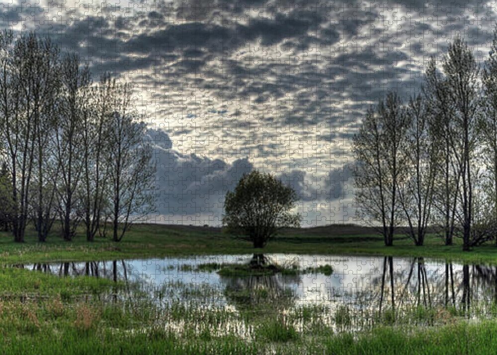 Pond Spring Green North Dakota Nd Landscape Scenic Rural Sky Panorama Pano Water Tree Frogs Jigsaw Puzzle featuring the photograph Spring Pond by Peter Herman